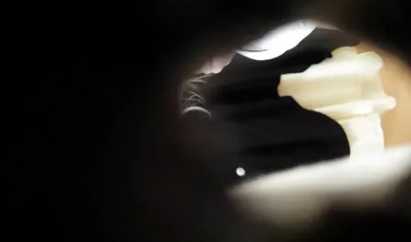 ホmilf えろ 動画 野外 squirtedのコックの他人に公開